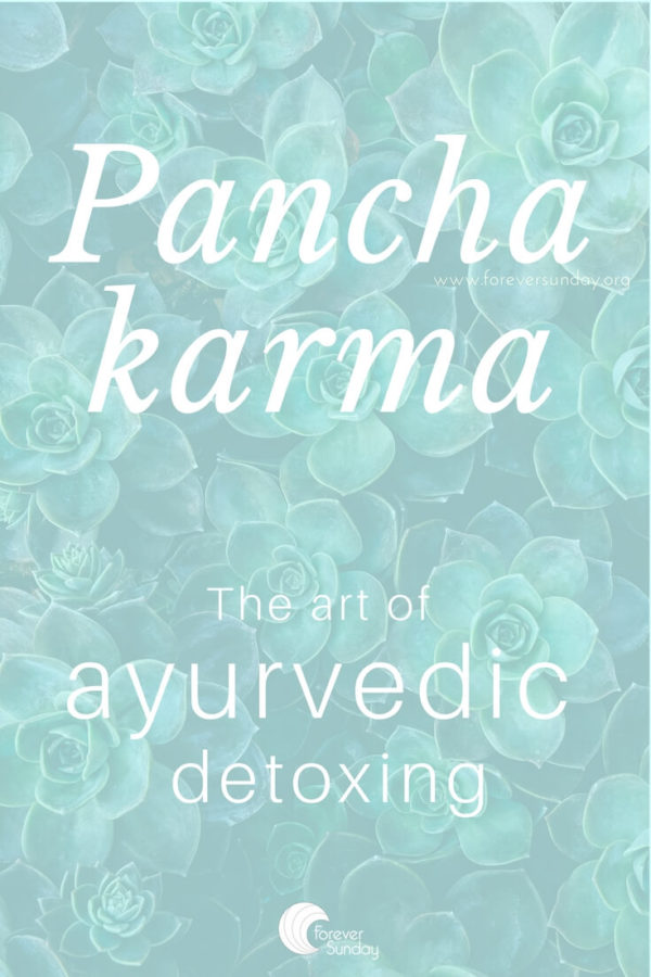 Panchakarma_ the art of ayurvedic detox #ayurveda #panchakarma #pancakarma