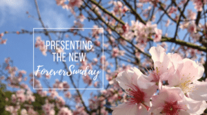 Presenting the new ForeverSunday(2)