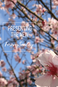 Presenting the new ForeverSunday(3)