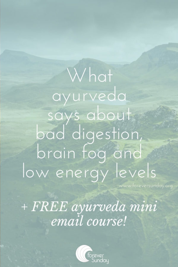 Bad digestion, brain fog and low energy levels