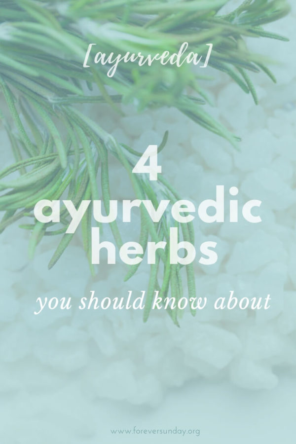 ayurvedic herbs you should know about